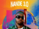 DJ Sandiso – Nande 3.0