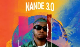 DJ Sandiso – Nande 3.0