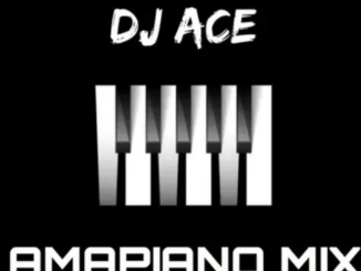 DJ Ace – 15 November 2024 (Amapiano Mix)