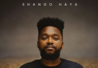 Soultronixx – Shango Haya (Album)