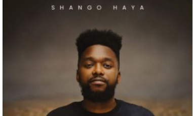 Soultronixx – Shango Haya (Album)