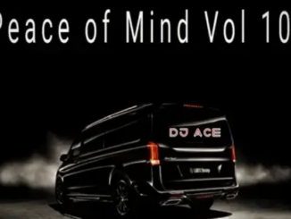 DJ Ace – Peace of Mind Vol 102 (17 November 2024 Slow Jam Mix)