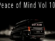 DJ Ace – Peace of Mind Vol 102 (17 November 2024 Slow Jam Mix)