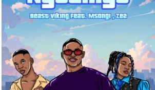 Beast Viking – Ngelinye feat. Msongi & Ze2