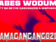 Babes Wodumo – Amagangangozi (feat. Ba Bethe Gashoazen & Maphara)