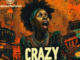 MP House Musiq & Wendy Soni – Crazy