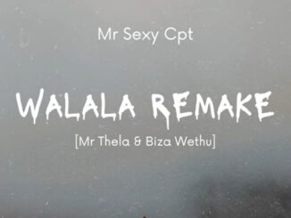 Mr Sexy Cpt - Walala Remake [Mr Thela & Biza Wethu]