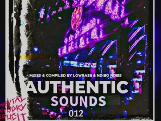 Lowbass Djy & Ndibo Ndibs – Authentic Sounds 012