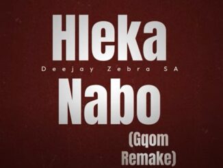 Deejay Zebra SA - Hleka Nabo (Gqom Remake)