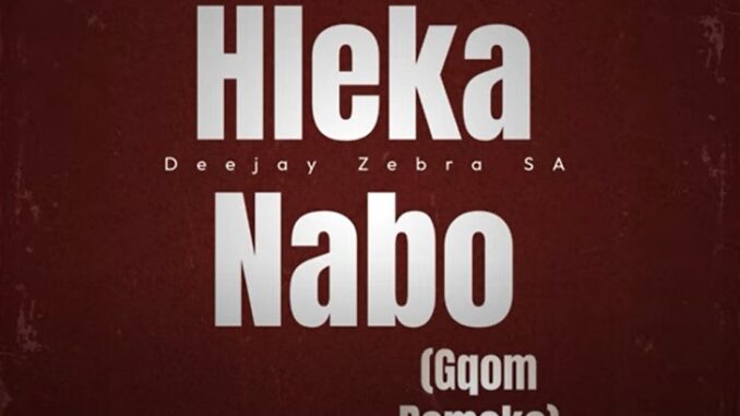 Deejay Zebra SA - Hleka Nabo (Gqom Remake)