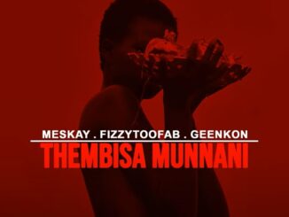 Fizzytoofab - Thembisa Munnani (ft. Meskay & Geenkon)