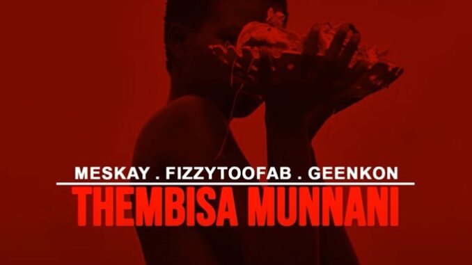 Fizzytoofab - Thembisa Munnani (ft. Meskay & Geenkon)