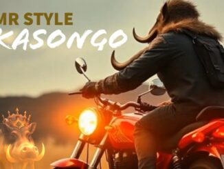 Mr style - Kasongo Amapiano