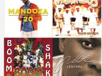 Best of South African Kwaito Artists, Notable tracks, Genres, Bio