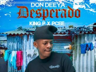 Don Deeya, King P & Pcee - Desperado (Visualizer) ft. Fransman Ace, Dj Nnandos & Augusto Mawts