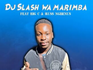 Dj Slash Wa Marimba - Ani Poni ft. Big C & Russ Nghenus