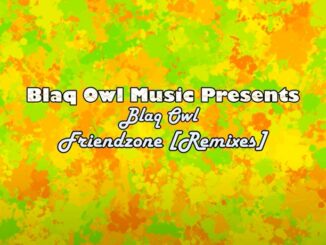 Blaq Owl - Friendzone Remix