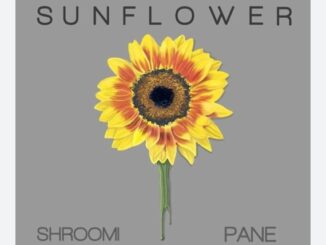 Sunflower N - Ungowami