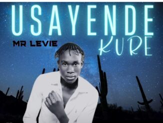 Mr Levie - Usayende kure