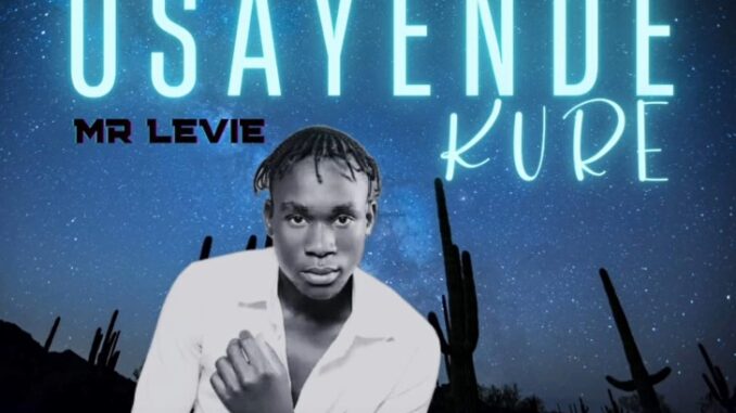 Mr Levie - Usayende kure