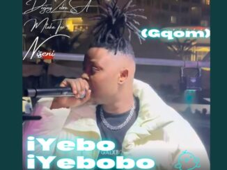 Deejay Zebra SA - iYebo iYebobo (Gqom)