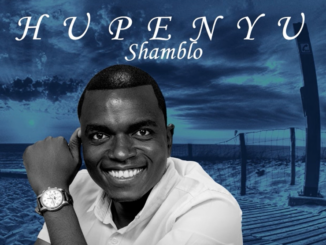 Shamblo - Hupenyu