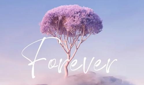 Echo Deep – Forever