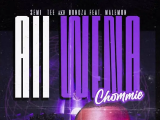 Semi Tee & Bongza – Aii Wena Chommi ft. Malemon