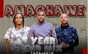 AmaQhawe – 2024 Year End Mix (Strictly Springle)