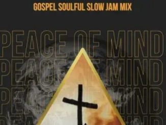 DJ Ace – Peace of Mind Vol 105 (25 December 2024 Gospel Soulful Slow Jam Mix)