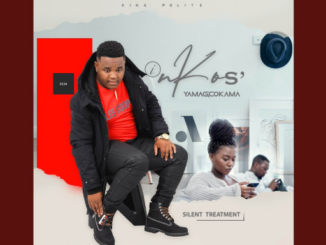 Inkosi Yamagcokama – Silent Treatment (Song)