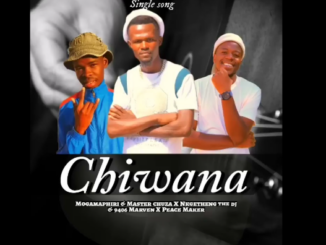 NKGETHENG THE DJ - Chiwana ft Mogamaphiri & Master Chuza