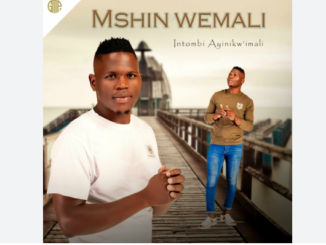 Mshinwemali's Top Fakaza Maskandi Songs