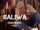 Saliwa's Top Fakaza Maskandi Songs