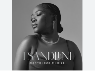 Nontokozo Mkhize - Esandleni