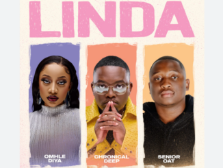 Chronical Deep, Omhle Diya, Senior Oat - Linda (Visualizer)