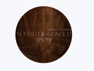 Sound Of Goshen & Collen Maluleke - He Has Risen (Live)