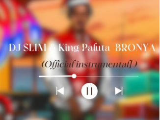 Dj Slim & King Paluta - BRONYA