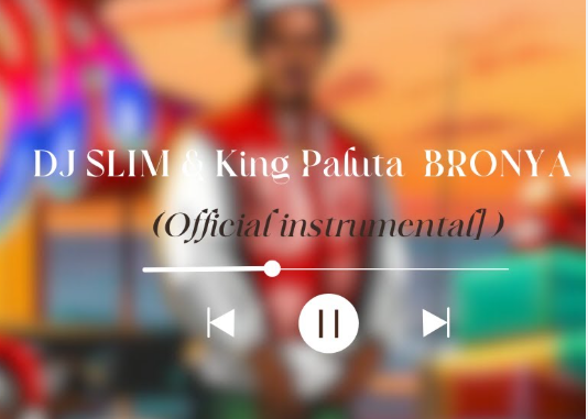 Dj Slim & King Paluta - BRONYA