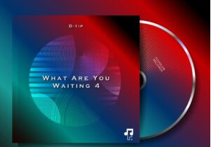 D-tip – What Are You Waiting 4