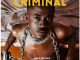 Wave Rhyder – Criminal
