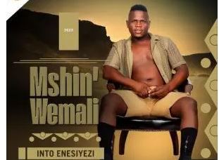 62 Mshinwemali – Indlovukazi Ft. Senzo Ntuli