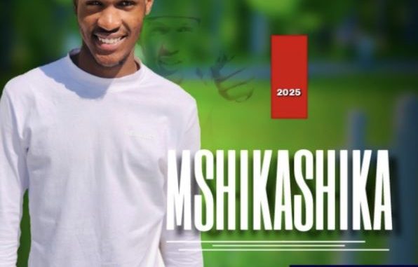 Dlamini Shika’s Mshikashika – Soft Life Album