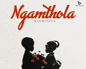 Bee-Bar & Mr Shane SA – Ngamthola (feat. NtoMusica)