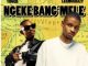 Tiiger & LeeMcKrazy – Ngeke Bang’Mele (feat. QuayR Musiq & King Deep)