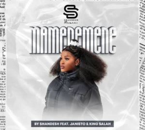 4 Shandesh – Mamenemene (feat. DJ Janisto & King Salah)