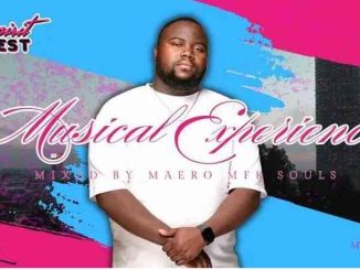Maero MFR Soul – Musical Experience 041