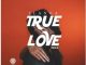 Dj Ngwazi – True Love (Ilanga Remix) Ft. Wanitwa Mos, HarryCane & ACL Droppa