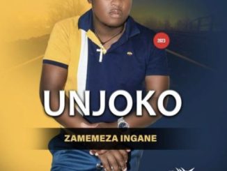 UNjoko – Ngehlula