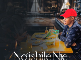 Njabulo Langa - Ngishile Nje